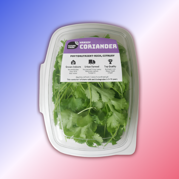 Greenhouse Coriander